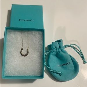 Tiffany & Co. Horseshoe Pendant